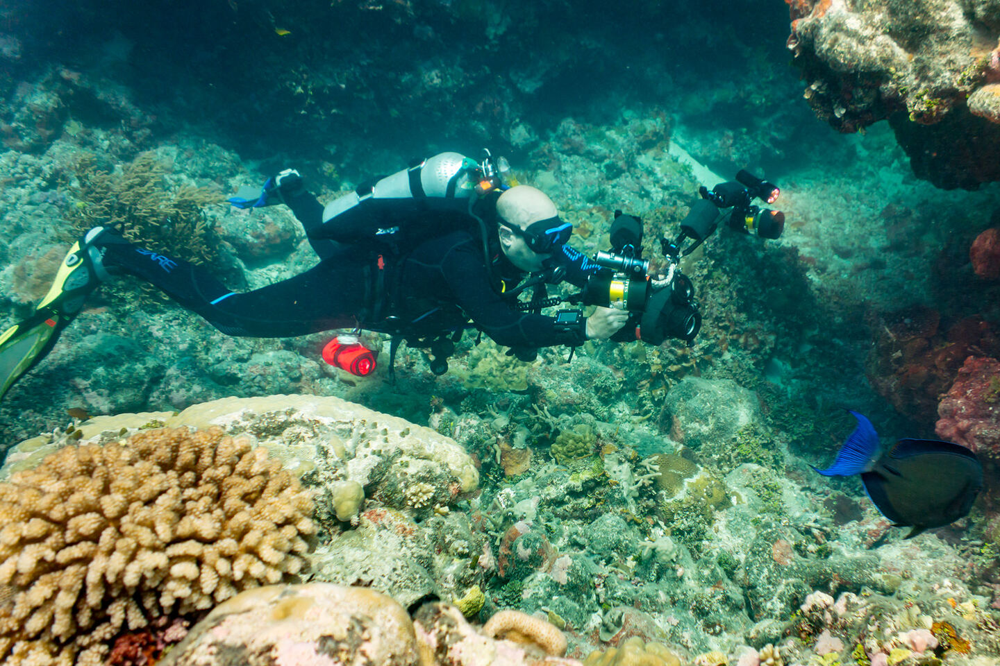 New and improved, with bigger camera