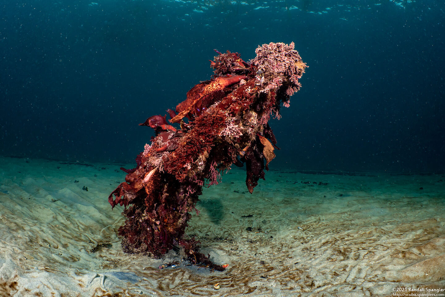 Buried anchor near the breakwater