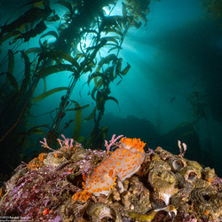 Album cover photo for San Carlos Beach - November 2023