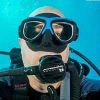 Labroides dimidiatus (Bluestreak Cleaner Wrasse)